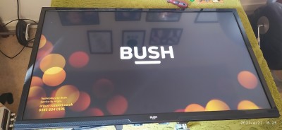 bush.jpg